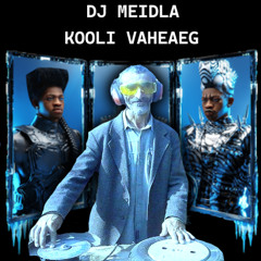DJ MEIDLA -  KOOLI VAHEAEG