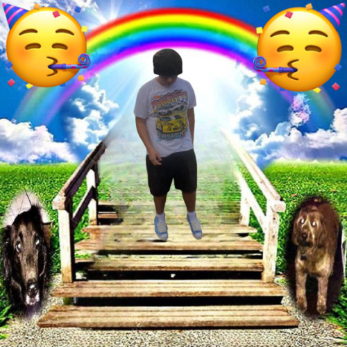 Reinforce (feat.Cartersonn)