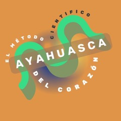 E06: Facilitador, Chamán, Shaman, etc