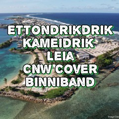 Ettoňdrikdrik Kameidrik Leia (ChaNinWay Cover) - BinniBand