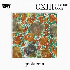 CXIII - pistaccio