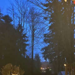 get it freestyle (prod 2lz x jrmxdethis x mlodyhubson)