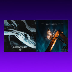 Nicky Romero & DubVision vs Martin Garrix & Matisse Sadko - Live my life X Butterflies Mashup | SKD mashup