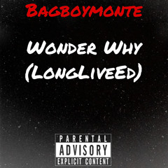 Wonder Why (Long Live Ed)