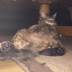 Netflix & Chill - Season 2