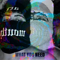 What You Need feat. Upside (Prod.Upside)