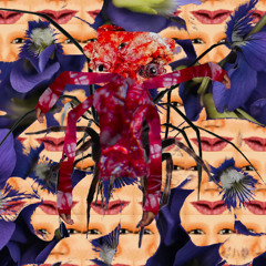 bugged