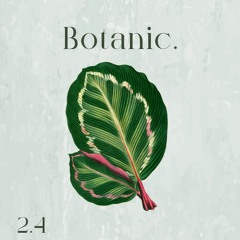 Botanic Sprout - 2.4 - silvior