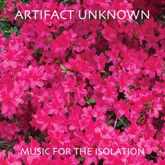 Artifact Unknown - Music for the Isolation