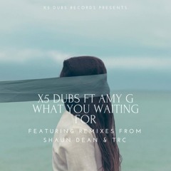 X5 Dubs Ft Amy G - What You Waiting For (Shaun Dean Remix)