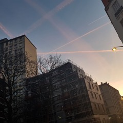 Ambiance tempête calmée/répit quantique/extraction salva[sclarea]trice - une clairière triste?