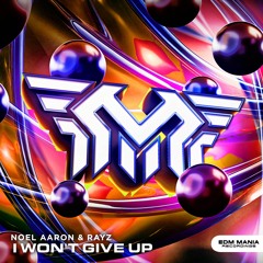 Noel Aaron & Rayz - I Won't Give Up (Extended Mix) (Buy=Free Download)