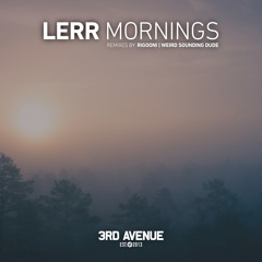 PREMIERE: Lerr - Mornings (Weird Sounding Dude Remix) [3rd Avenue]