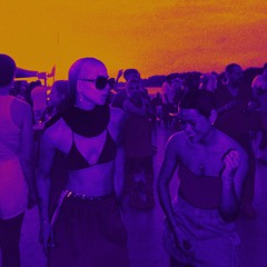 Randomize 001