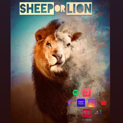 Sheep or Lion