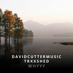 Whyyy - David Cutter Music & Trxxshed
