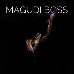 The Surprises - Magudi Boss