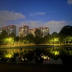 Парадоксы Света