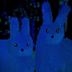 down the rabbit hole