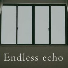 Endless Echo-naviarhaiku512