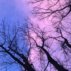 Take a Look in My Direction