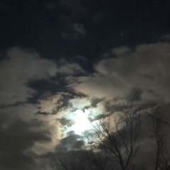 AMERICAN DREAMER*(prod.JINK JUKE)