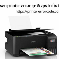 Epson Printer Error 41