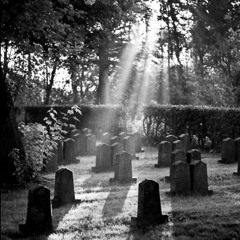 نَهاكَ عن الغواية - بهاء الدين زهير