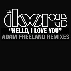 Hello, I Love You (Adam Freeland Fabric Mix)