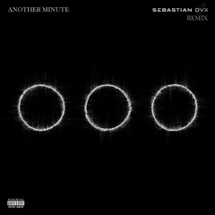 Swedish House Mafia - Another Minute (Sebastian Dvx Remix)