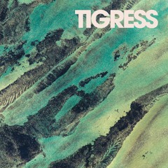 Coppice Halifax - Tigress