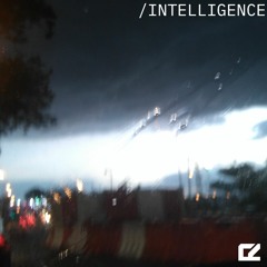 intelligence