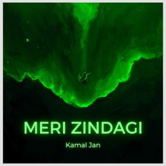 Meri Zindagi