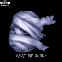 WHAT LIFE IS LIK3