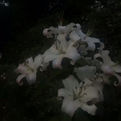 flowers prod lif3alrt