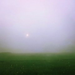 Brume