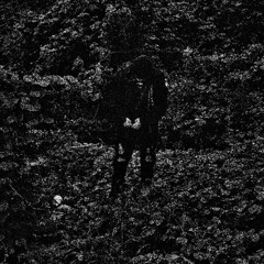 Seraphim, Everett Latte - sharing needles