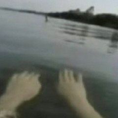 nhà cây - Kiddo the MC