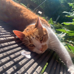 CH!N - Seifenblase prod. by aurelsyma