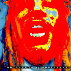 TONYSHHNOW // ROBBBANKS