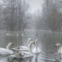 Ice and Wind