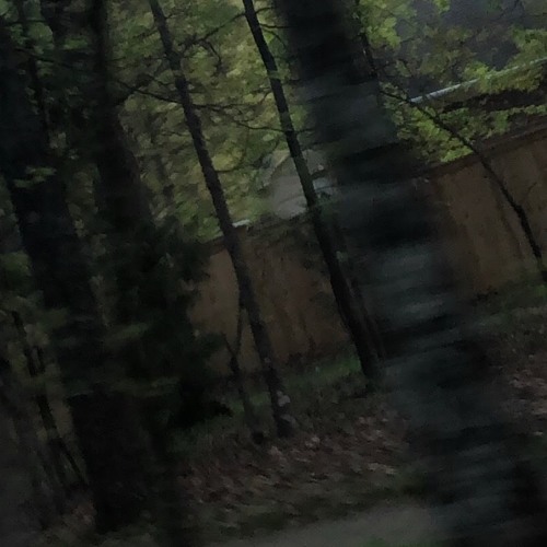 Spooky Black - Dookie Pack (w/ drk)