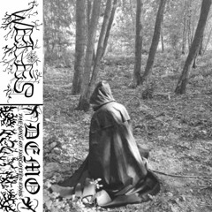 The forgotten voice under the tree