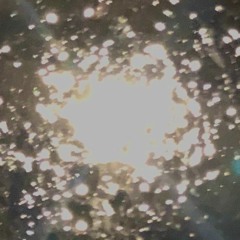 I Fell in Love With You