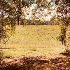 Speed Of Sound (Coldplay Cover)