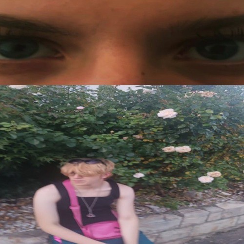 Trüffel Augen (Dizzy Utopia)