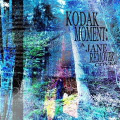 KODAK MOMENT: A JANE REMOVER COVER(reprod. Ren!)