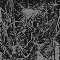 MARAUDA - RAGE ROOM