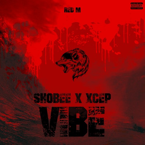 Vibe (with Shobee & Xcep)