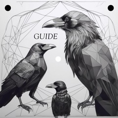 Guide